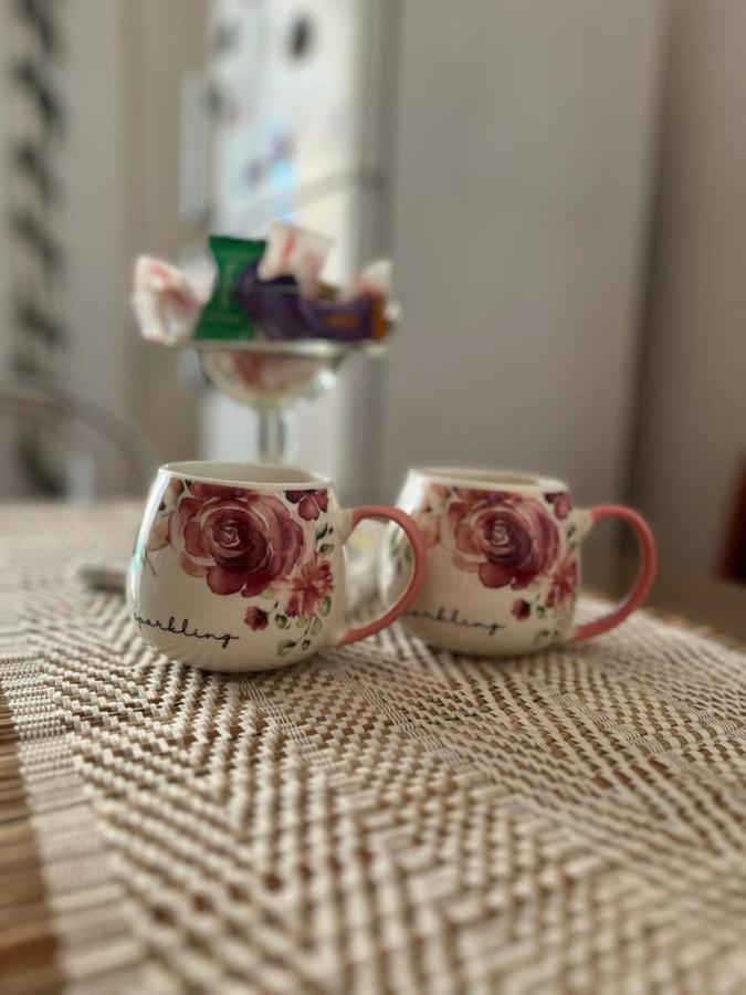 Apartament Lala'S Sweet Nest Călimăneşti Zewnętrze zdjęcie